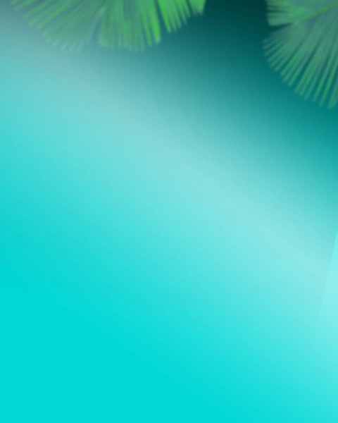 Snapseed Blur Editing Background Download