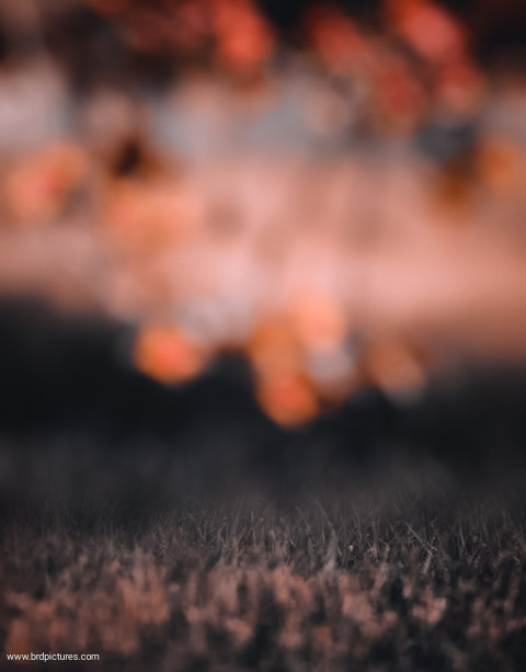 Snapseed Blur Editing Background Download Pic