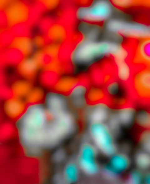 Snapseed Blur Photo Editing CB Background Download