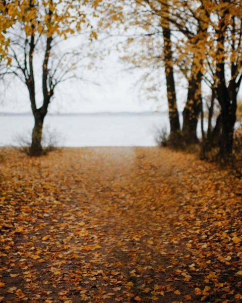Snapseed Cb Background Hd For Photo Editing