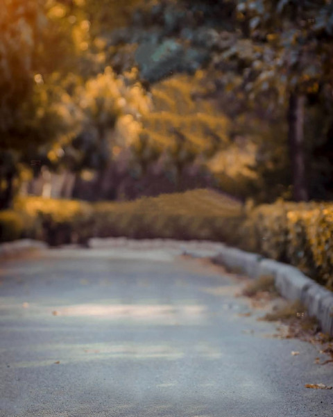 Snapseed CB Background Images for Editing