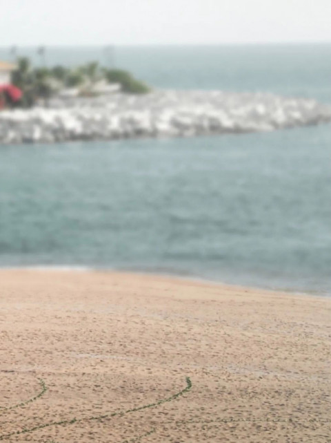 Snapseed CB Editing Background Download  HD