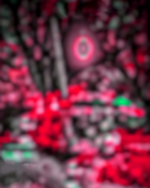 Snapseed CB Editing Red Forest Background HD