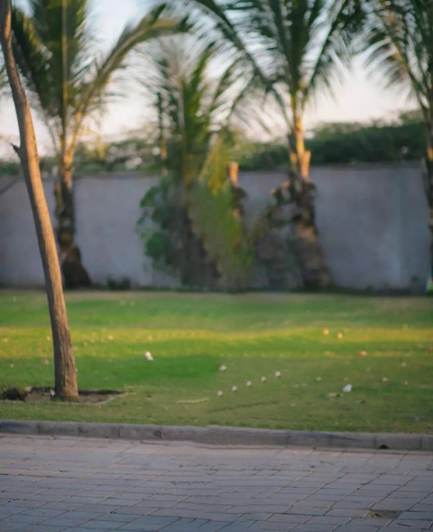 Snapseed CB Photo Editing Background Download