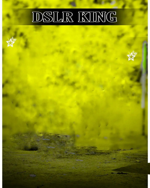 Snapseed Dslr King Background Full HD For Photo Editing