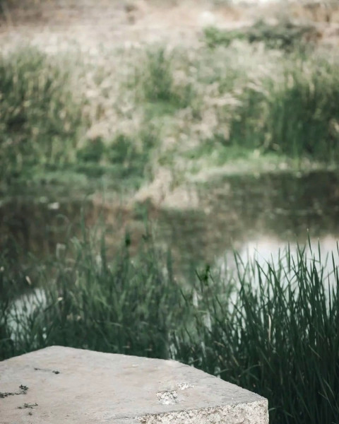 Snapseed Editing Background High Resolution Images Pic