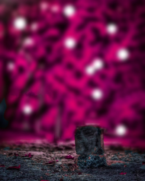 Snapseed Editing Bokeh Background HD Download