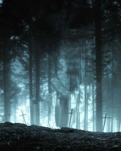 Snapseed Forest New Background HD For Picsart Editing