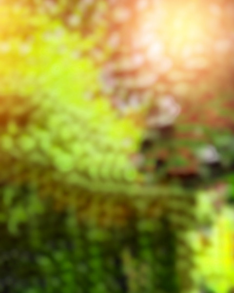Snapseed Green CB Photo Editing Background