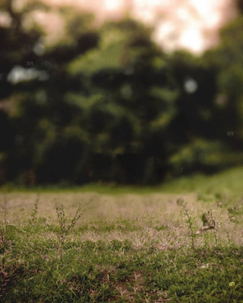 Snapseed HD Photo Background Editing