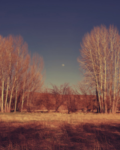 Snapseed Nature Blur Background Download For editing