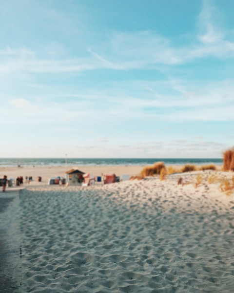 Snapseed Nature Blur Background Download For editing HD