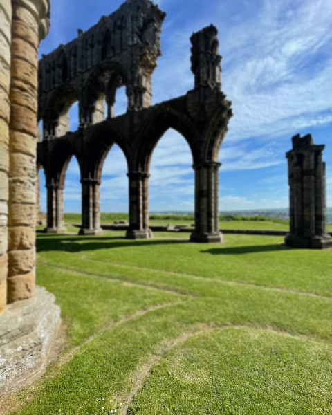 Snapseed Nature Blur Background Download For editing New