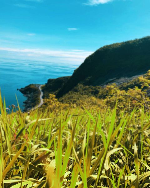 Snapseed Nature Blur Background Download For editing Pic