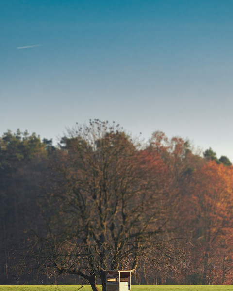 Snapseed Nature Blur Background Download For editing Pics