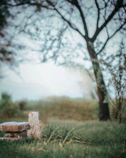 Snapseed Photo Editing Background Download Free
