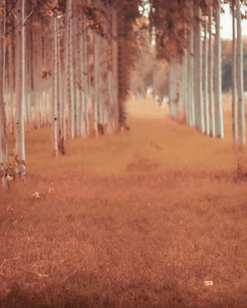 Snapseed Photo Editing Background For CB PicsArt
