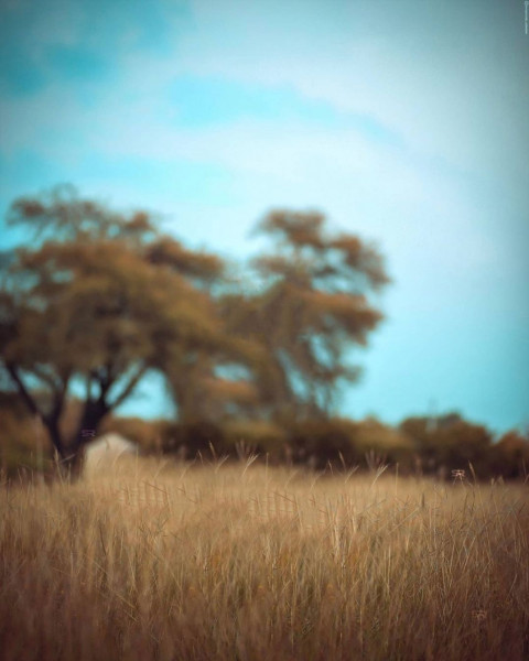 Snapseed Photo Editing Background Full HD For PicsArt