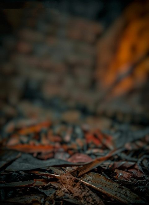 Snapseed Photo Editing CB Picsart Background HD