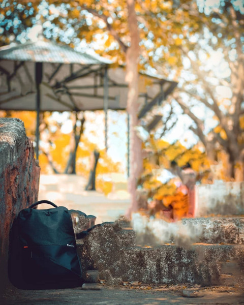 Snapseed Photo Editing NEW Background Download