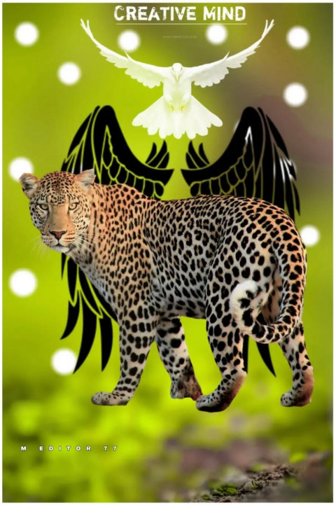 Snapseed Tiger Photo Editing New Background Free