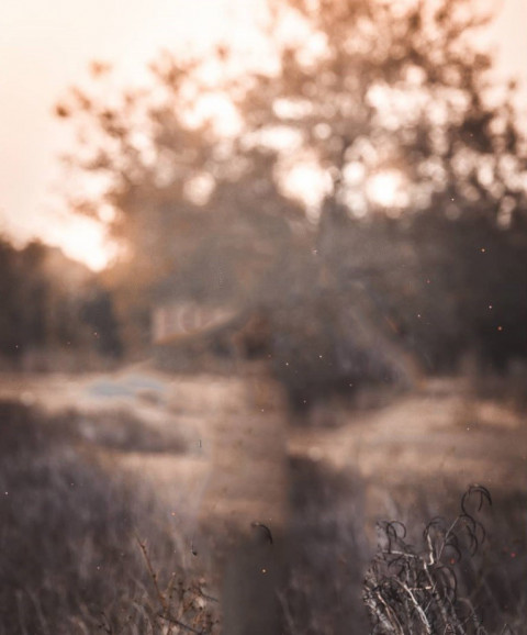 Snapseed Viral Background For Picsart Photoshop Editing