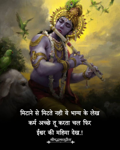 Struggle Motivational Quotes In HIndi Images Dp Full HD