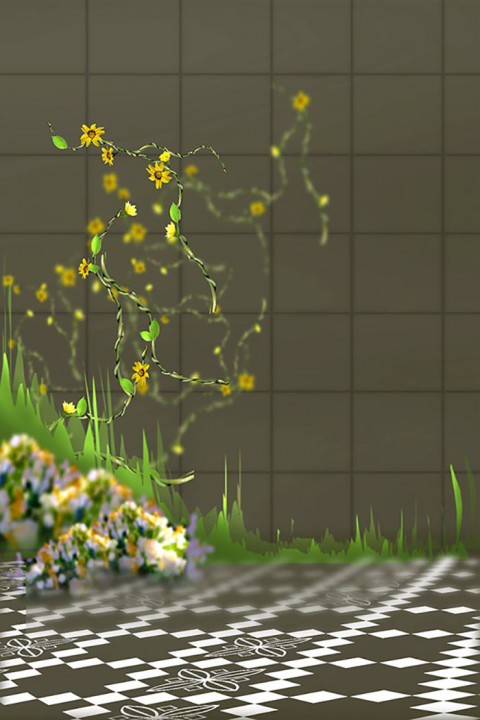 Studio Background Download For Outdoor New