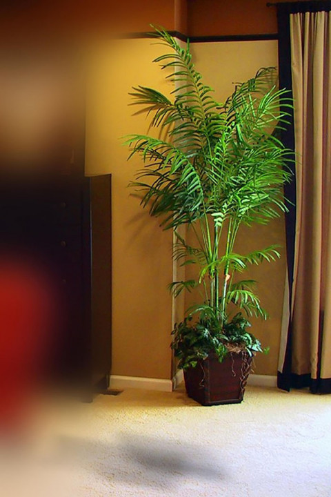 Studio Background HD DOwnload For Indoor New