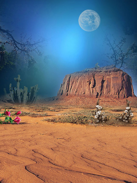 Studio Background HD For Photography Wallpaper