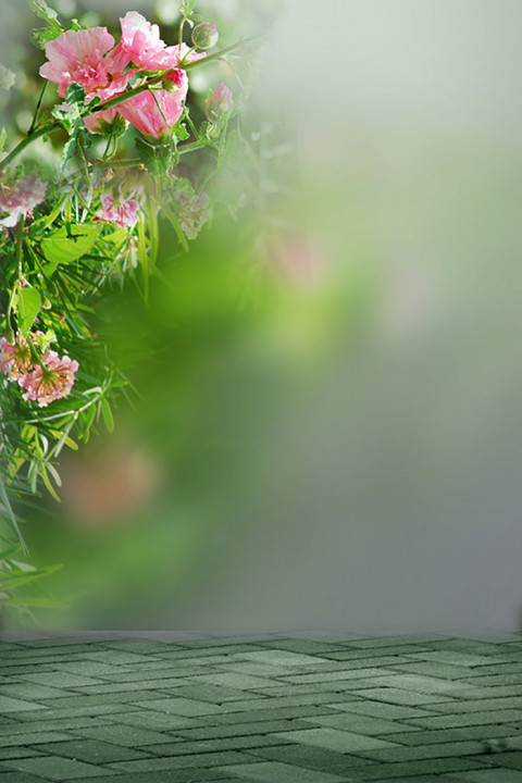 Studio Outdoor Background Download