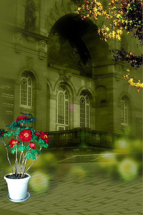 Studio Outdoor Background Wallpapers Download Photo