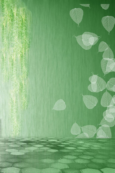 Studio Outdoor Nature Background Download
