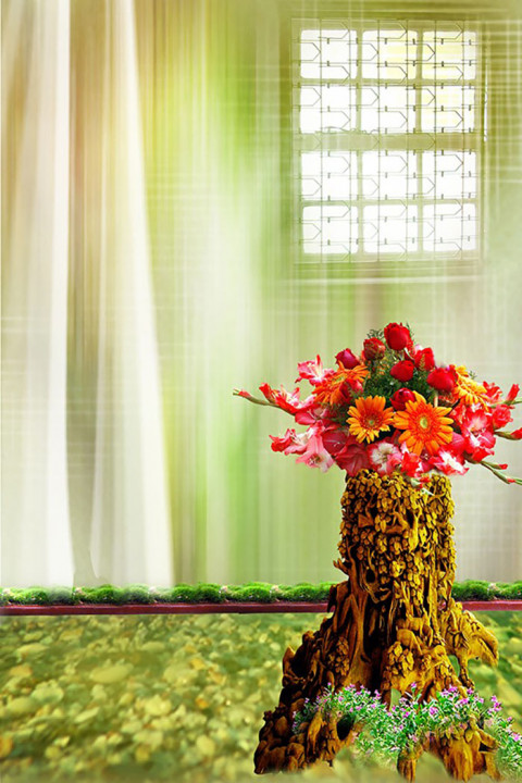Studio Outdoor Nature Background Download HD