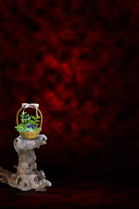 Studio Photography Home Background HD Image