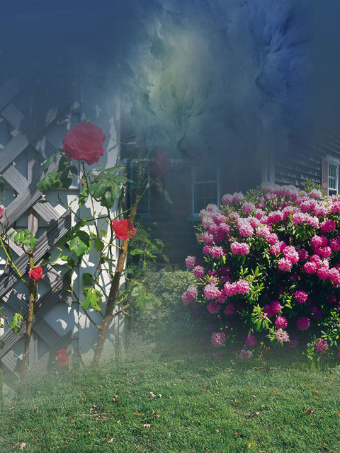 Studio Photography Images Background HD