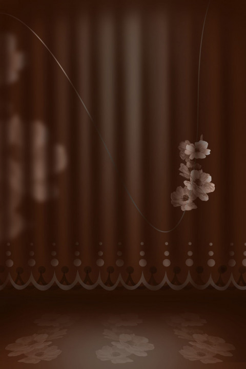 Studio Portrait Wallpaper Background Download