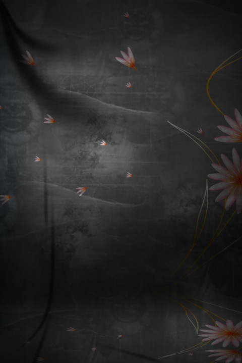 Studio Portrait Wallpaper Background Download Free