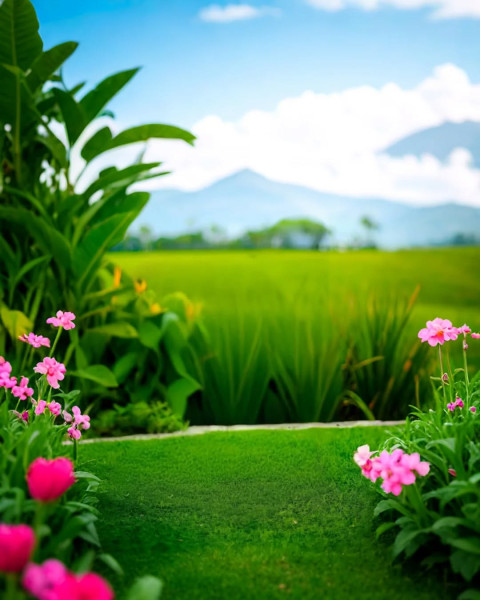 Stylish Colorful Hd Background For Editing Image