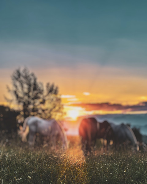 Sunlight CB PicsArt BAckground HD Download For Photoshop Free