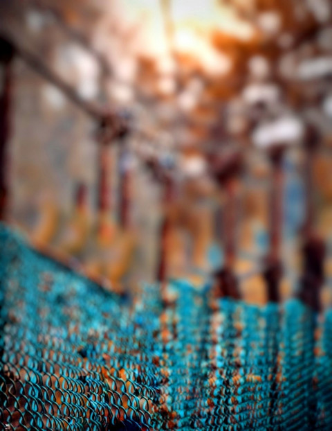 Sunlight Effect PicsArt CB HD Background