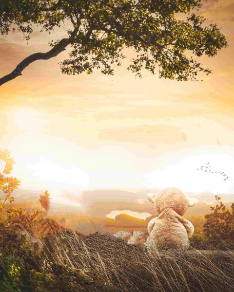 Sunlight Manipulation Editing New Background Full HD