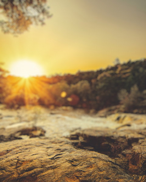 Sunlight Photoshop Nature Background HD Downloaad For CB Editing  Free