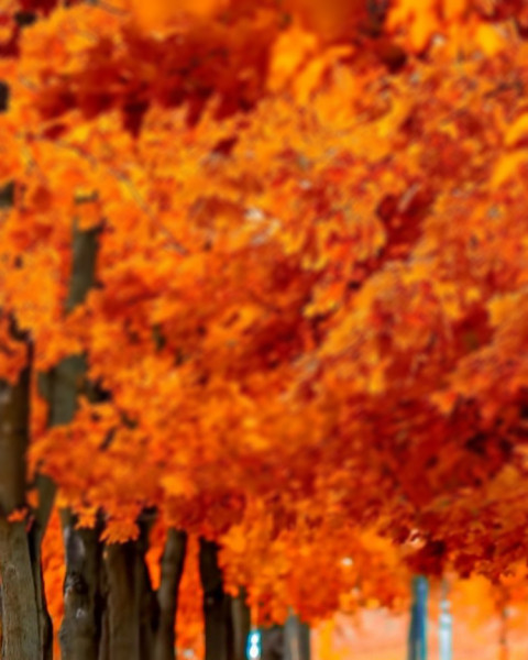 Sunset Blur CB Editing Background Download