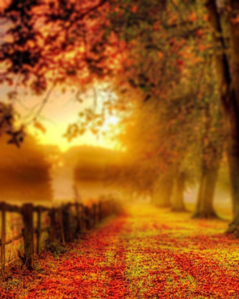 Sunset Blur CB Editing Background Download Free