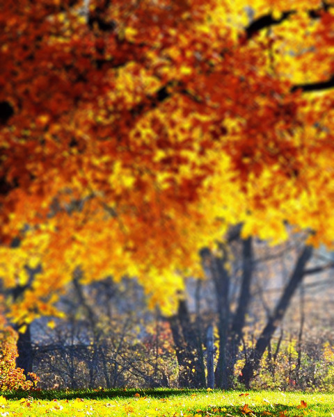 Sunset Blur CB Editing Background Download Full HD