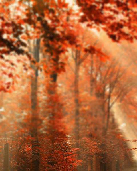 Sunset Blur CB Editing Background Download HD