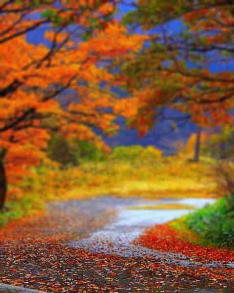 Sunset Blur CB Editing Background Download New