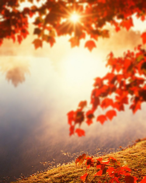 Sunset Blur CB Editing Background Download Photos