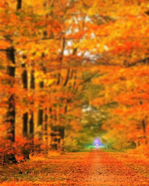 Sunset Blur CB Editing Background Download Pics